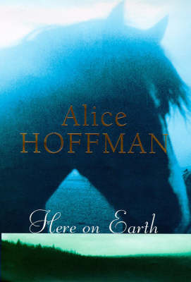 Book cover for Here on Earth
