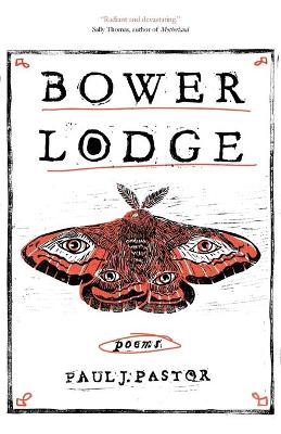 Book cover for Bower Lodge