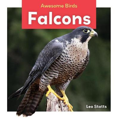 Cover of Falcons