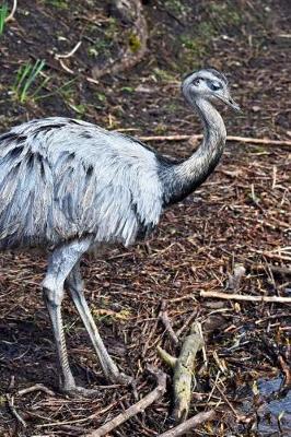 Book cover for The Greater Rhea Bird Journal