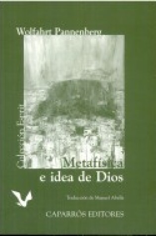 Cover of Metafisica E Idea de Dios