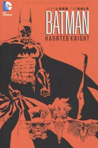 Cover of Batman: Haunted Knight