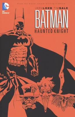 Book cover for Batman: Haunted Knight