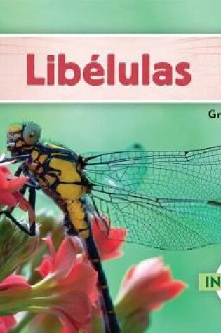 Cover of Libélulas (Dragonflies) (Spanish Version)