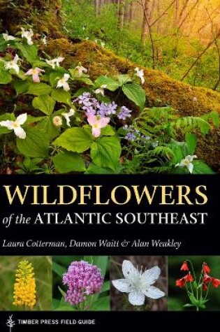 Cover of Wildflowers of the Atlantic Southeast