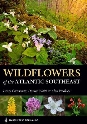 Book cover for Wildflowers of the Atlantic Southeast