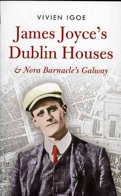 Book cover for James Joyce's Dublin Houses