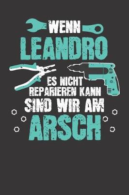 Book cover for Wenn LEANDRO es nicht reparieren kann