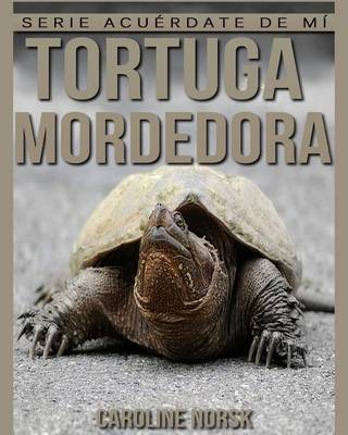 Book cover for Tortuga mordedora