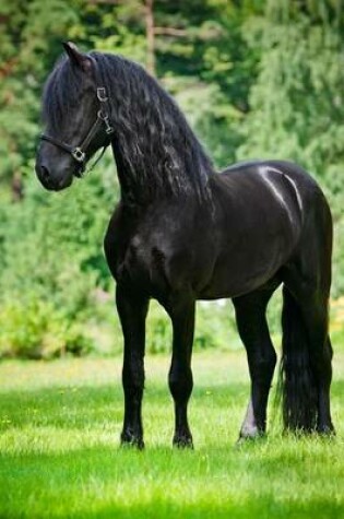 Cover of Black Friesian Horse in a Pasture Journal