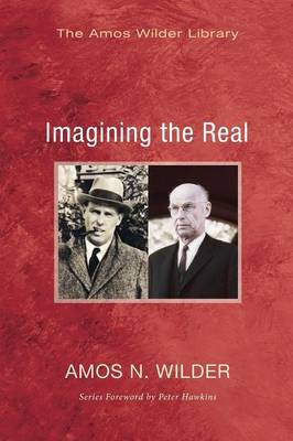 Book cover for Imagining the Real