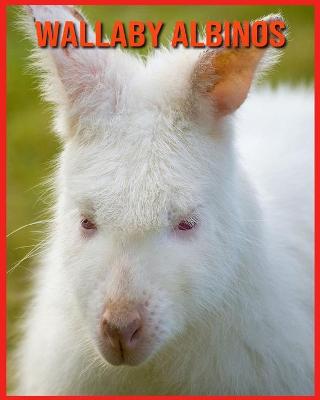 Book cover for Wallaby Albinos