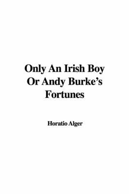 Book cover for Only an Irish Boy or Andy Burke's Fortunes