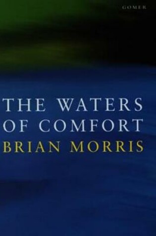 Cover of Waters of Comfort, The