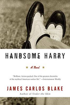 Book cover for Handsome Harry