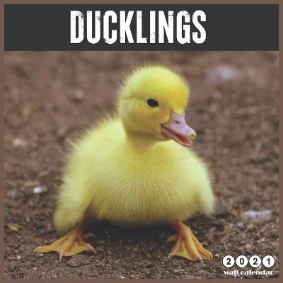 Book cover for Ducklings 2021 Wall Calendar