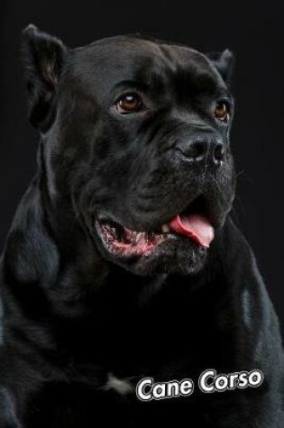 Cover of Cane Corso