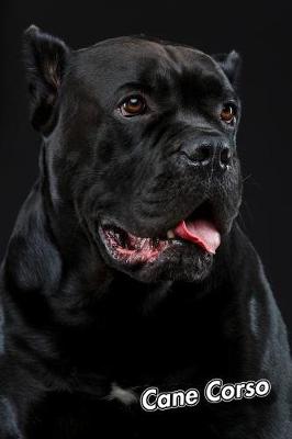 Book cover for Cane Corso