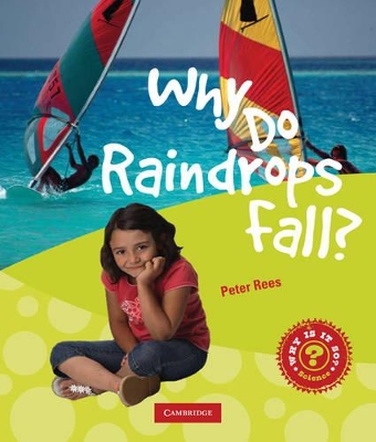 Book cover for Why Do Raindrops Fall?