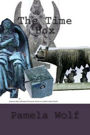 Cover of The Time Box