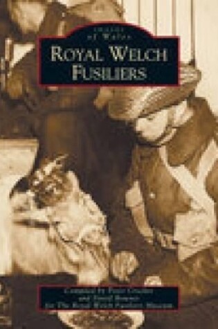 Cover of Royal Welch Fusiliers