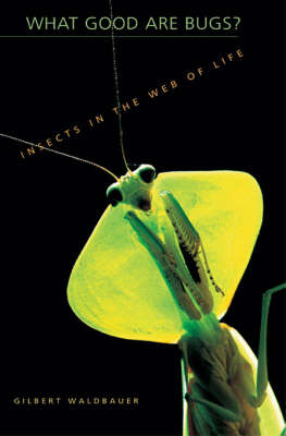 Book cover for What Good are Bugs?