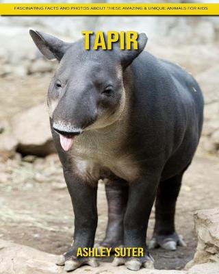 Book cover for Tapir