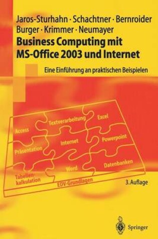 Cover of Business Computing mit MS-Office 2003 und Internet