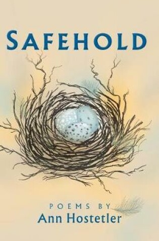 Cover of Safehold