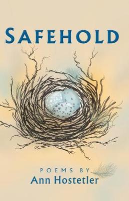 Book cover for Safehold