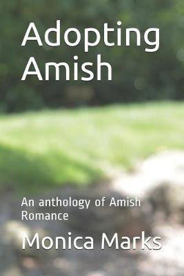 Book cover for Adopting Amish