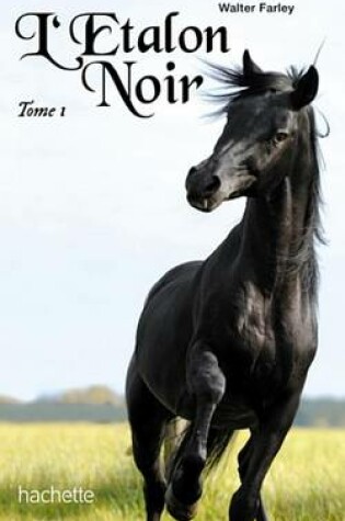 Cover of L'Etalon Noir 1 - L'Etalon Noir