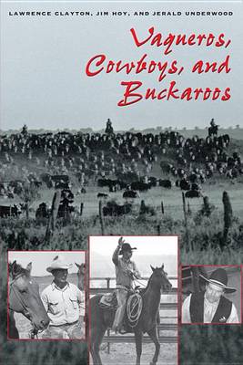 Book cover for Vaqueros, Cowboys, and Buckaroos