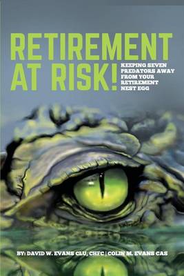 Book cover for Retirement at Risk!