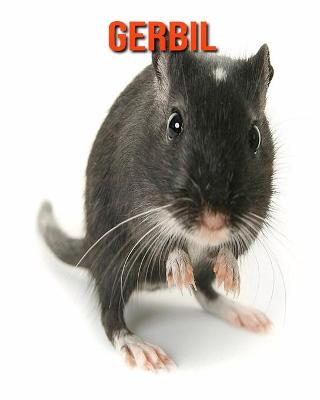 Book cover for Gerbil