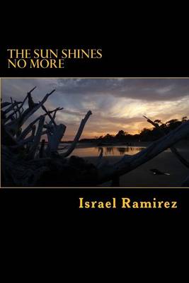 Book cover for The Sun Shines No More