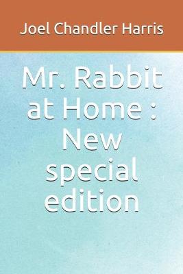 Book cover for Mr. Rabbit at Home