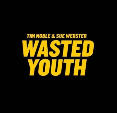 Book cover for Wasted Youth