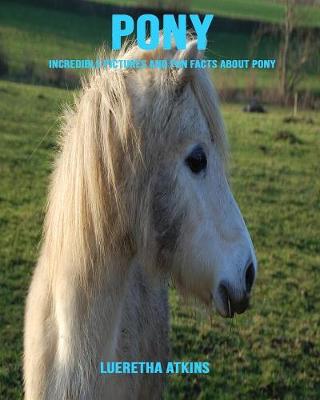 Book cover for Pony