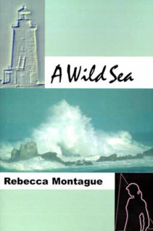 Cover of A Wild Sea