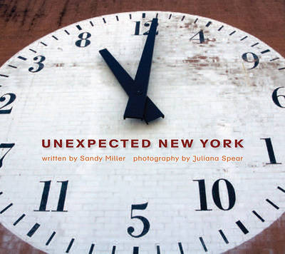 Book cover for Unexpected New York