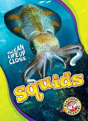 Book cover for Squids