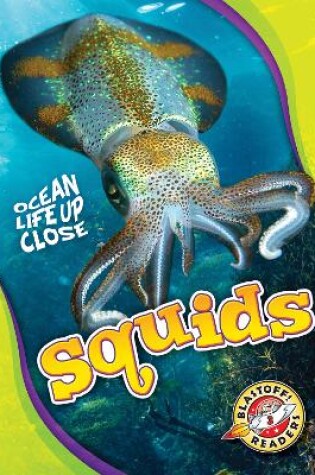 Cover of Squids