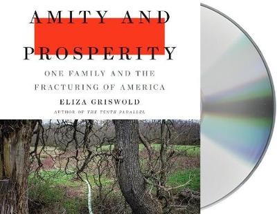 Book cover for Amity and Prosperity