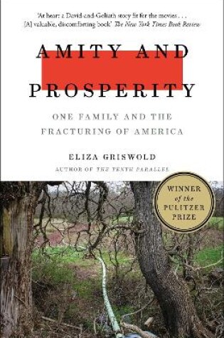 Cover of Amity and Prosperity