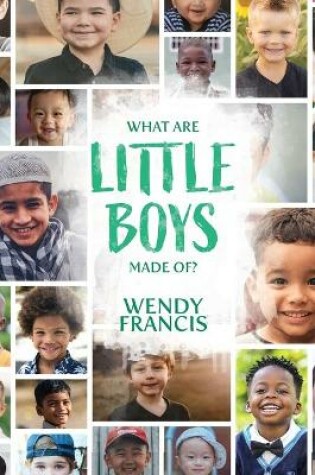 Cover of What are little boys made of?