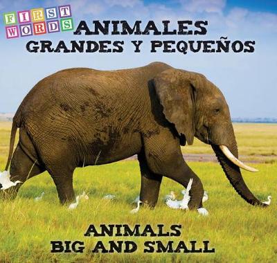 Cover of Animales Grandes Y Pequenos