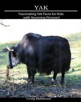 Book cover for Yak