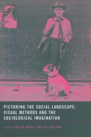 Cover of Picturing the Social Landscape: Visual Methods and the Sociological Imagination