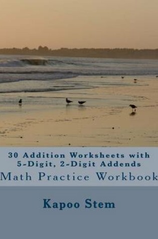 Cover of 30 Addition Worksheets with 5-Digit, 2-Digit Addends